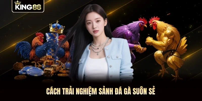 Cách trải nghiệm sảnh đá gà suôn sẻ Cách trải nghiệm sảnh đá gà suôn sẻ