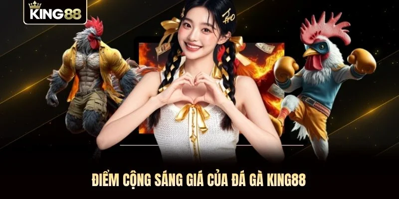 Điểm cộng sáng giá của đá gà KING88 Điểm cộng sáng giá của đá gà KING88