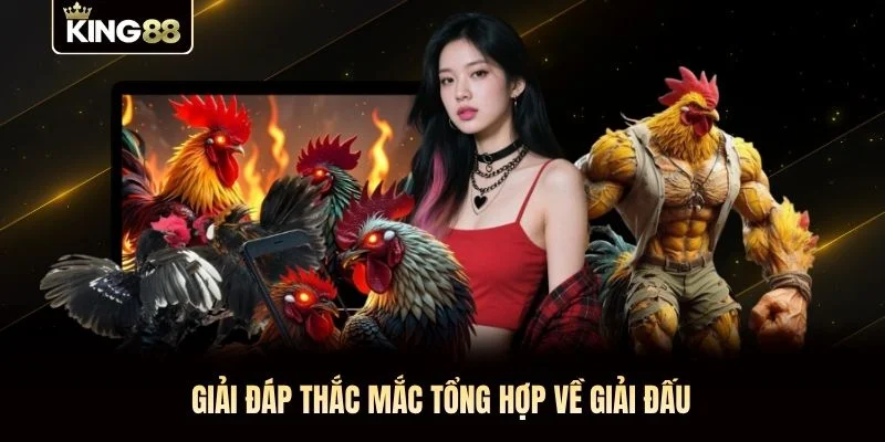Giải đáp thắc mắc tổng hợp về giải đấu Giải đáp thắc mắc tổng hợp về giải đấu
