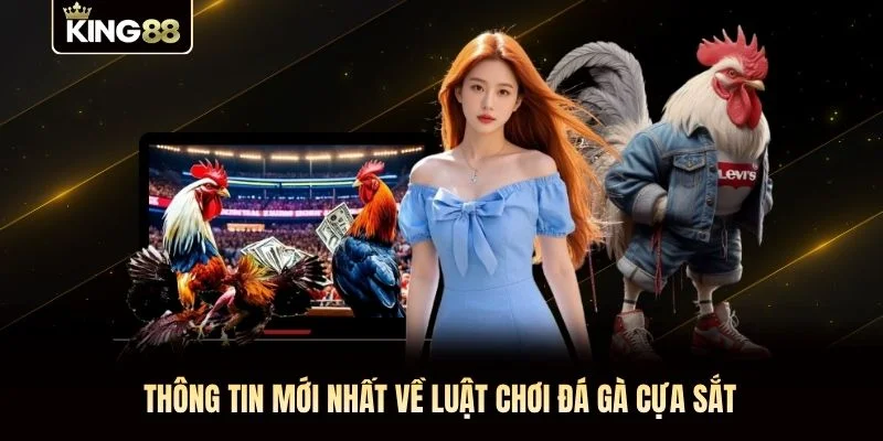 Thông tin mới nhất về luật chơi đá gà cựa sắt Thông tin mới nhất về luật chơi đá gà cựa sắt